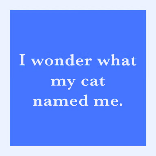 Coaster - Cat Named Me