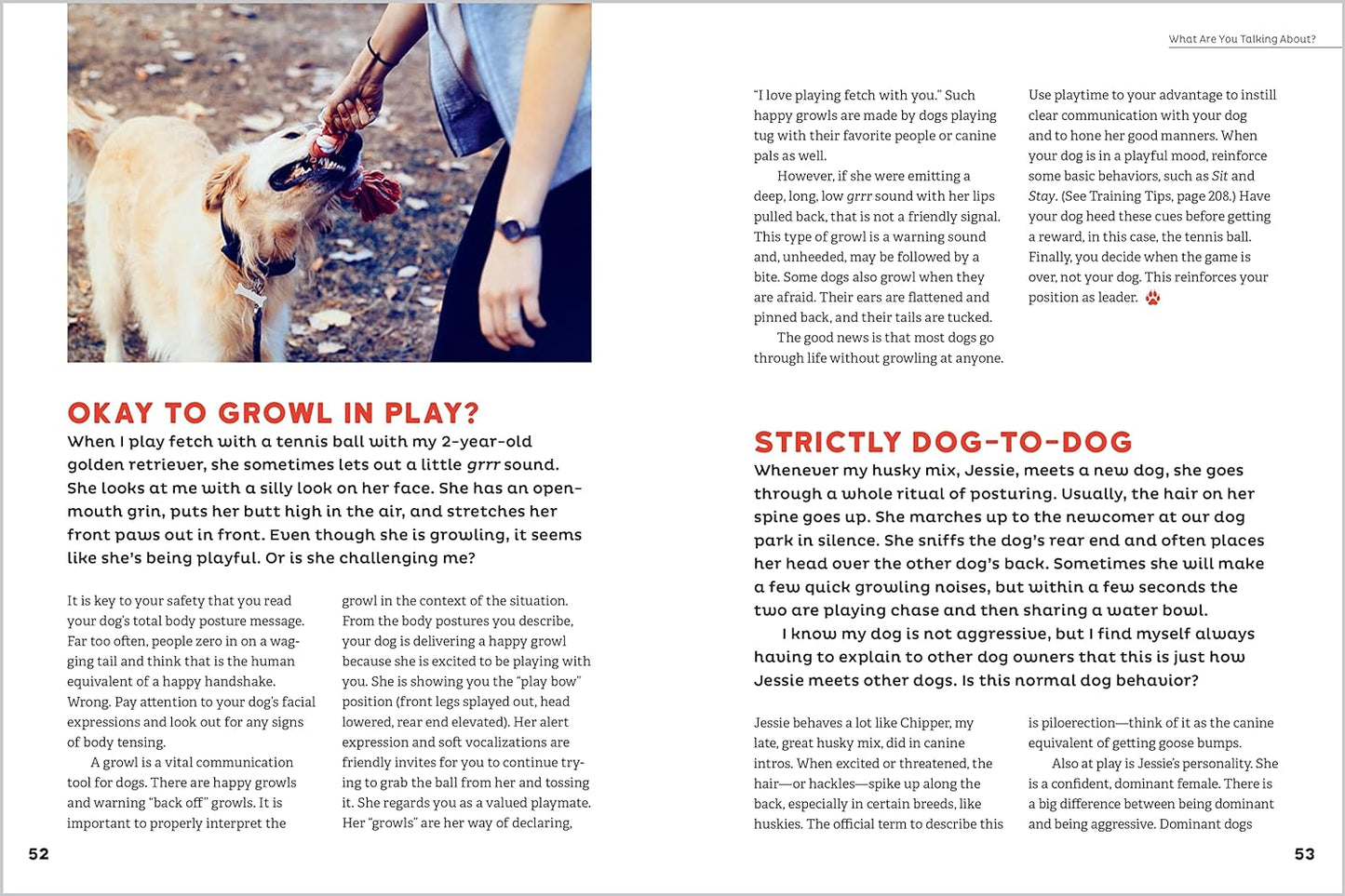 Dog Behavior Answer Book