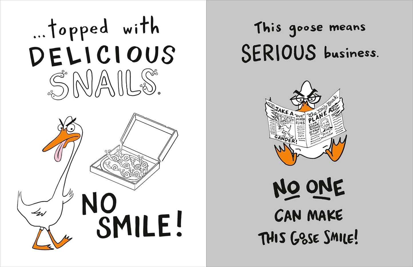 The Serious Goose Book