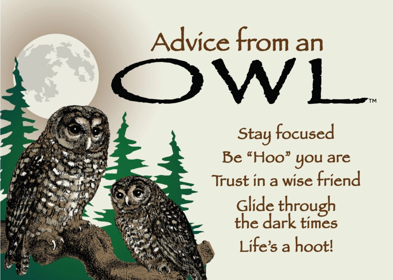 Magnet Advice from an Owl