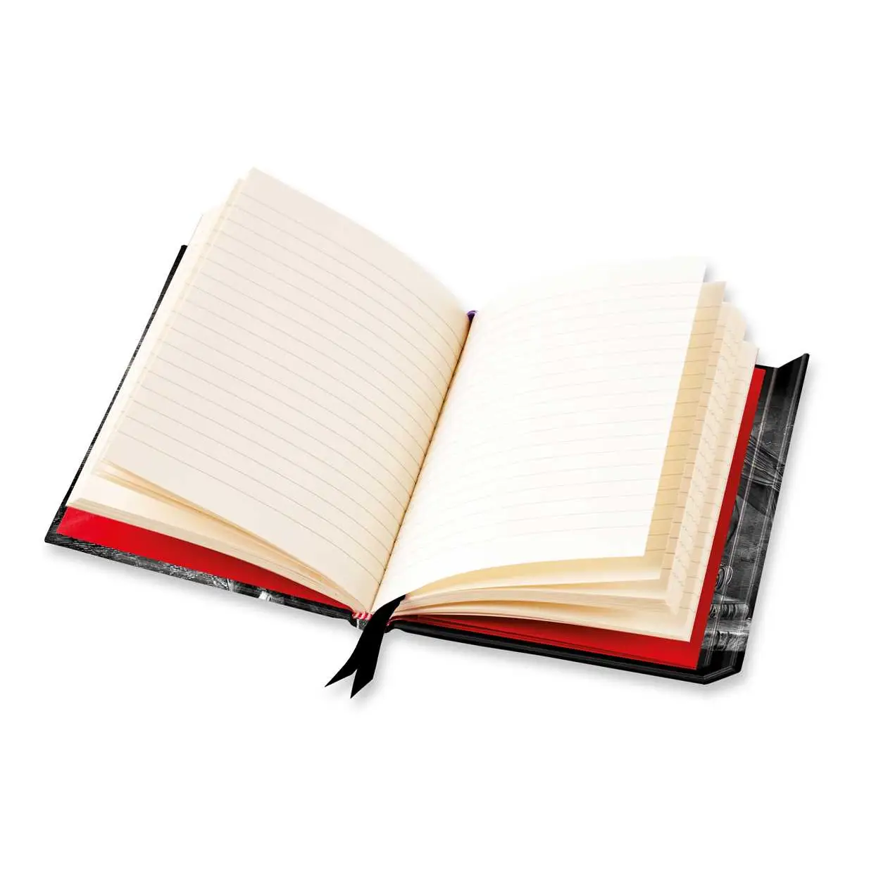 Poe’s Raven Foiled Journal