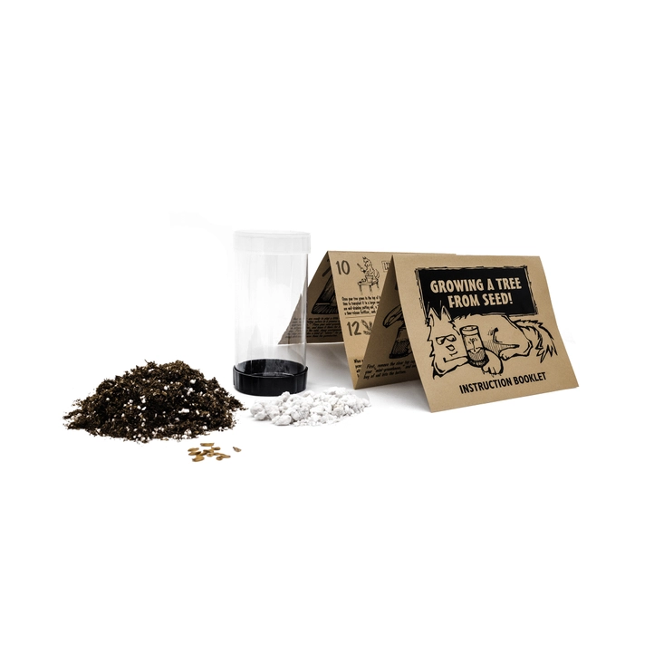 Giant Sequoia Seed Grow Kit