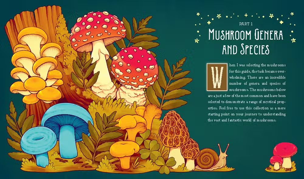 Mushroom Magick Lore Book