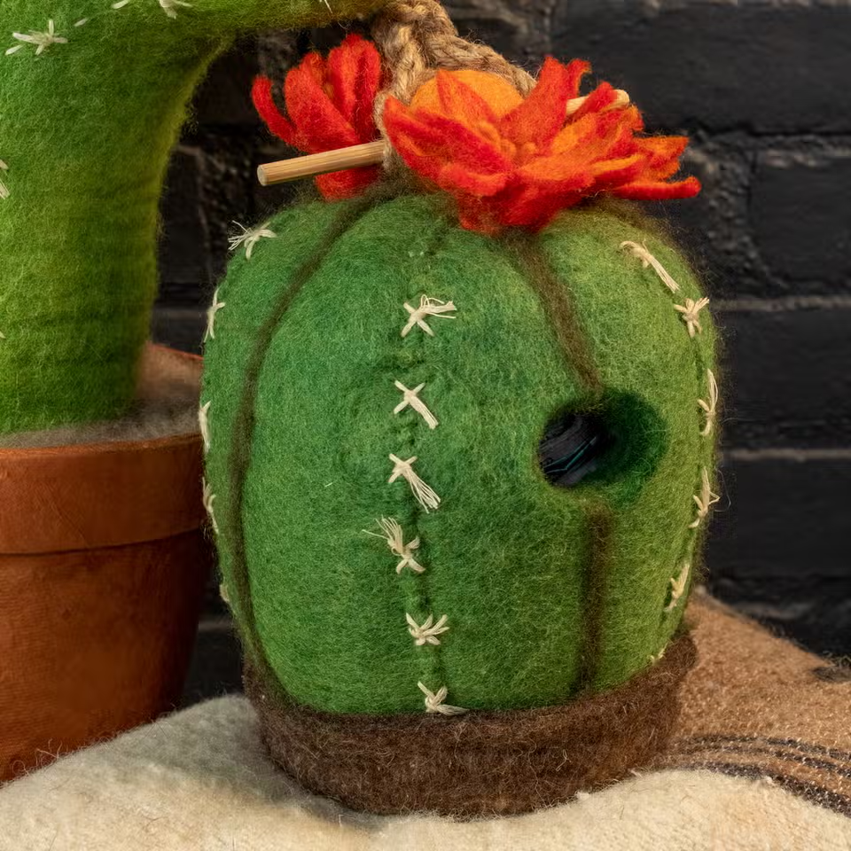 Felted Birdhouse: Barrel Cactus
