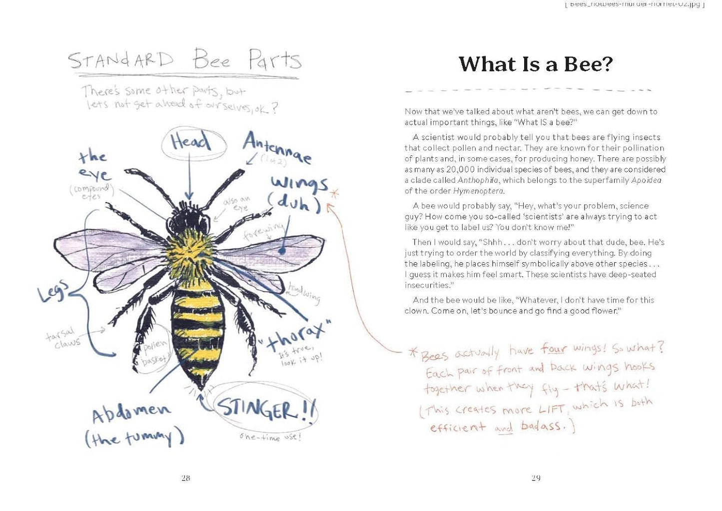 OMFG Bees Book