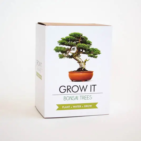 bonsai tree kits Bonsai Trees Grow Kit – Weeds