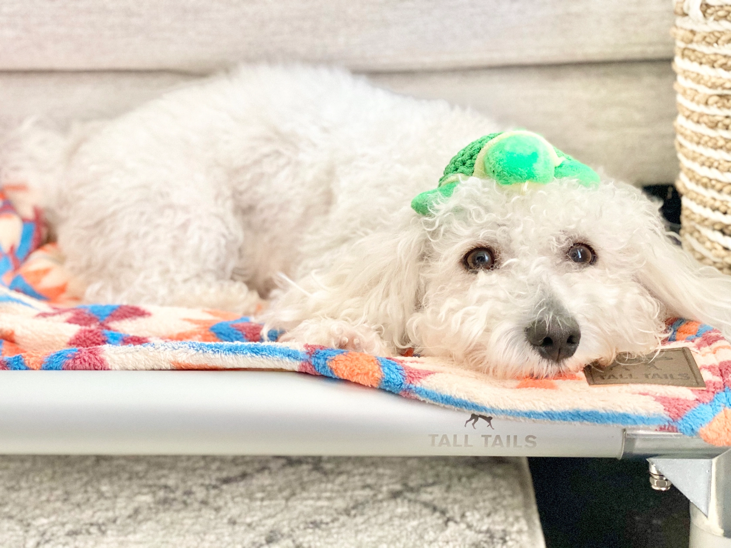 Baby Turtle Dog Toy 4"