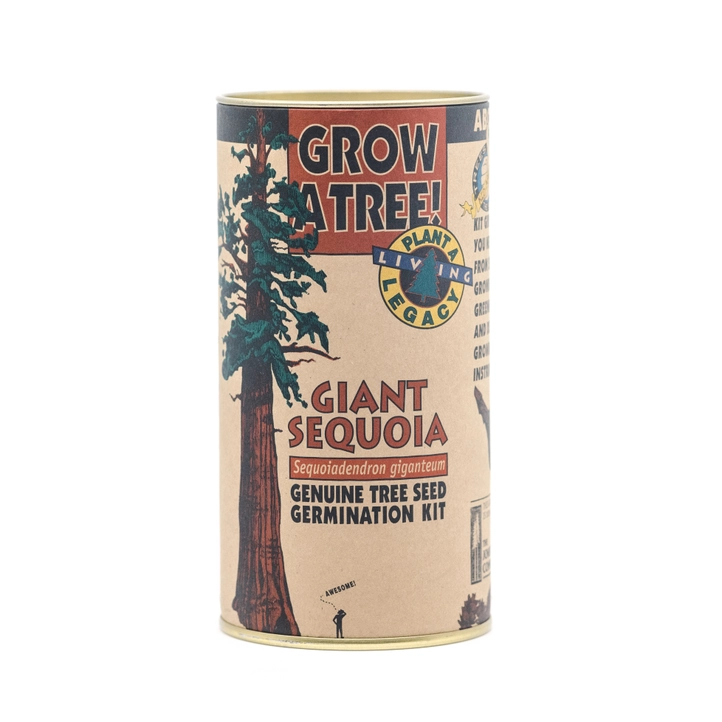 Giant Sequoia Seed Grow Kit