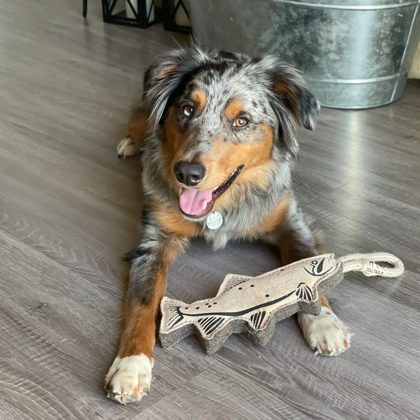 Natural Leather Trout Tug Dog Toy - 16"