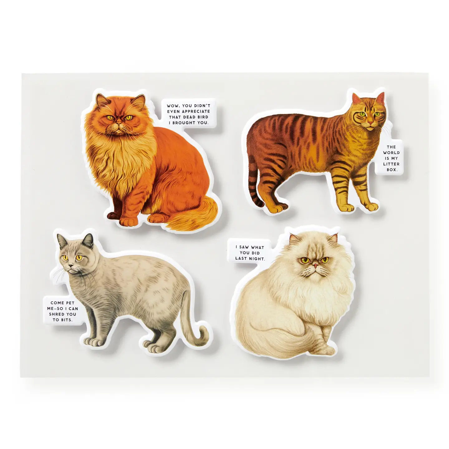 Moody Cats Puzzle 1000pc