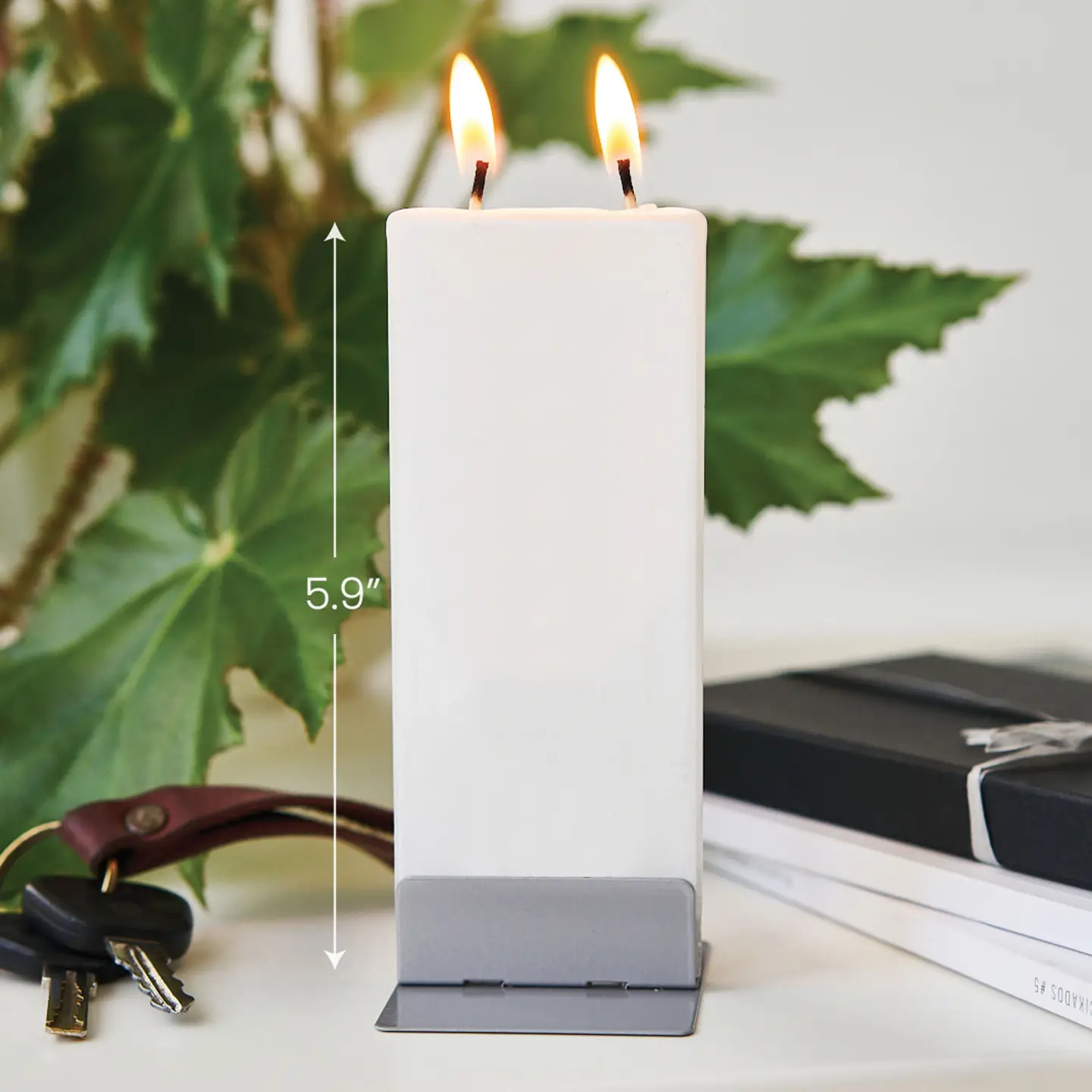 Flat Candle Dragonfly