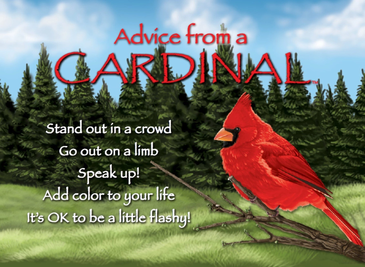 Magnet Advice from a Cardinal