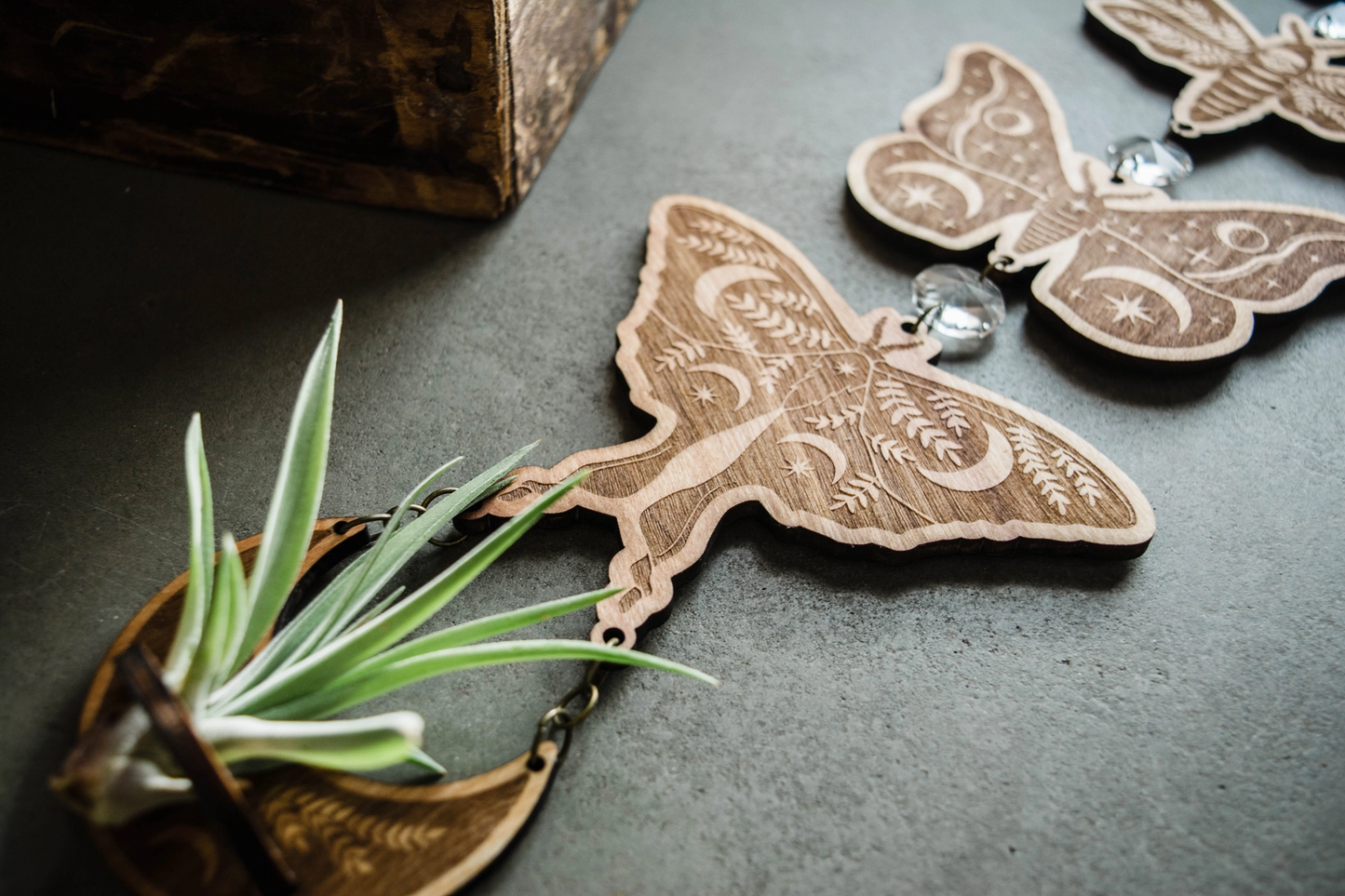 Four Moth Air Plant Holder Suncatcher