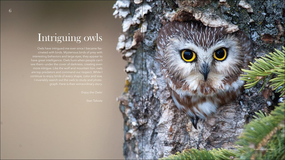 Owls: The Majestic Hunters Book