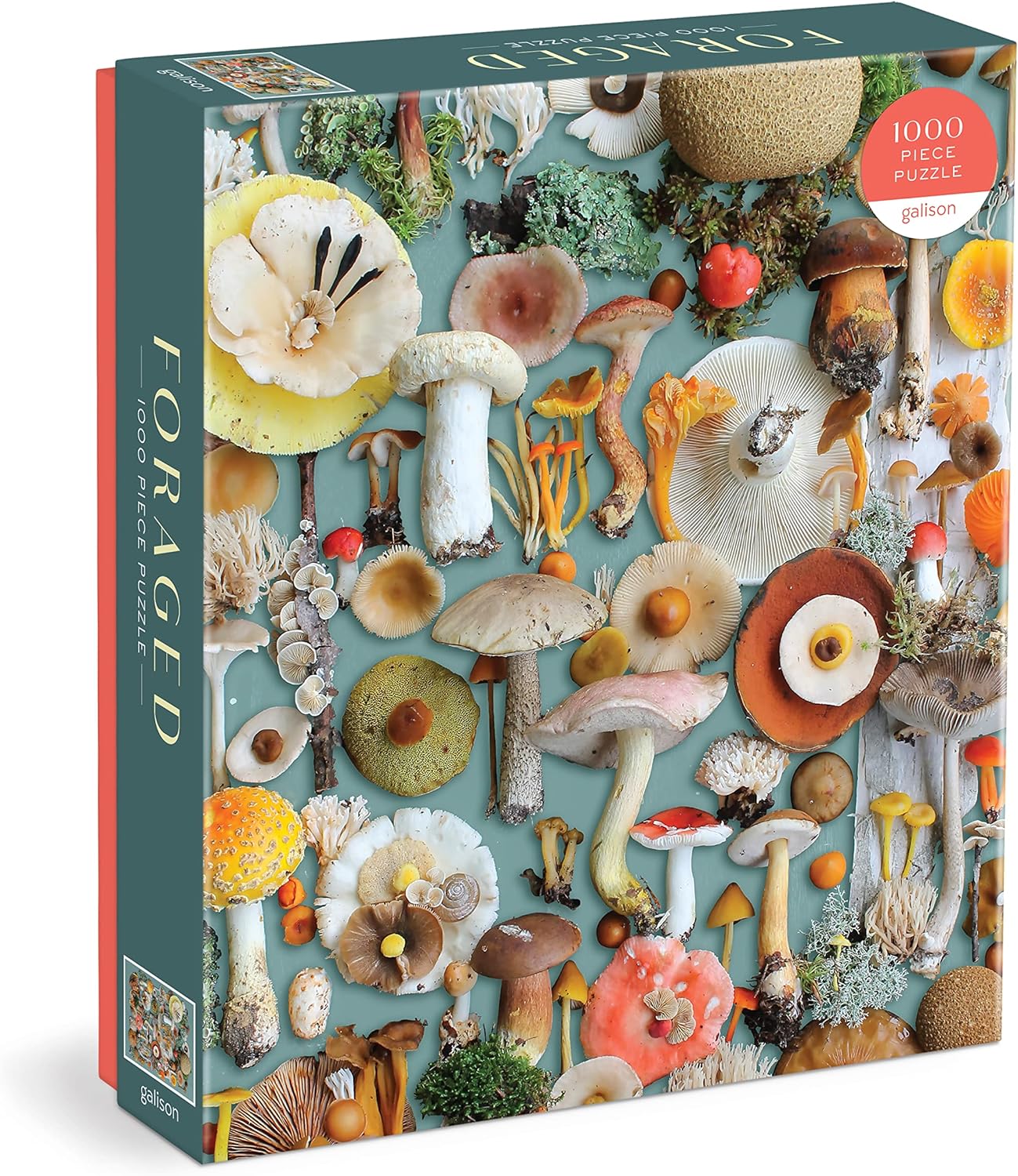 Foraged Mushroom Puzzle 1000 pc