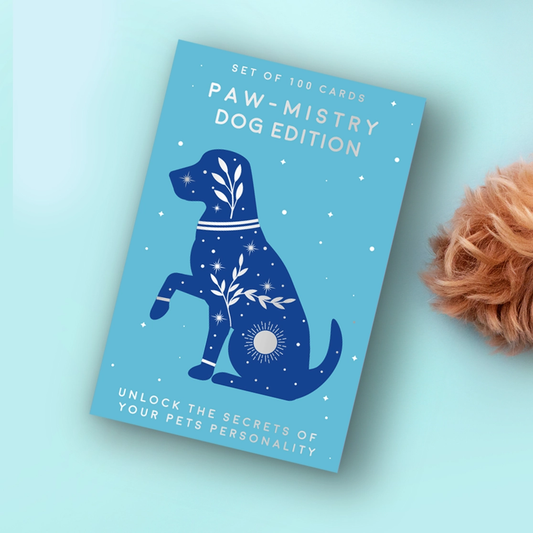 Paw-mistry Cards Dog
