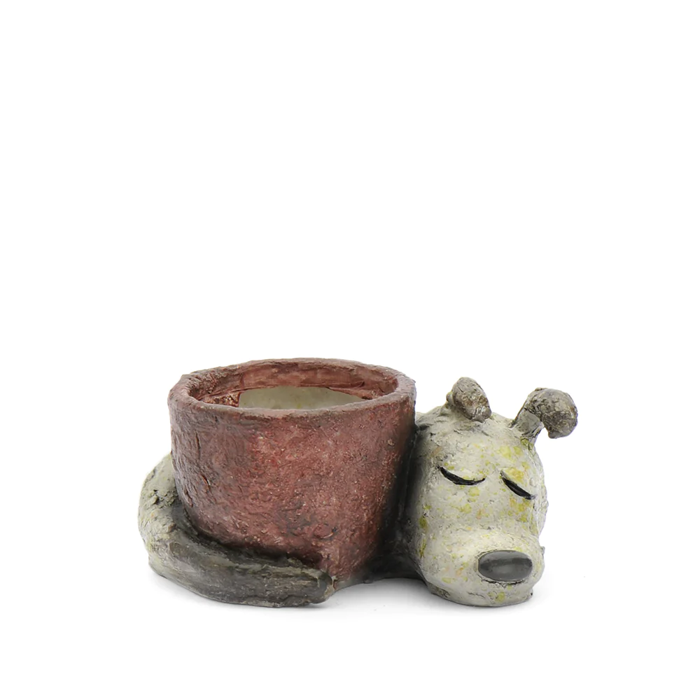 Baby Dreamer Mini Planter
