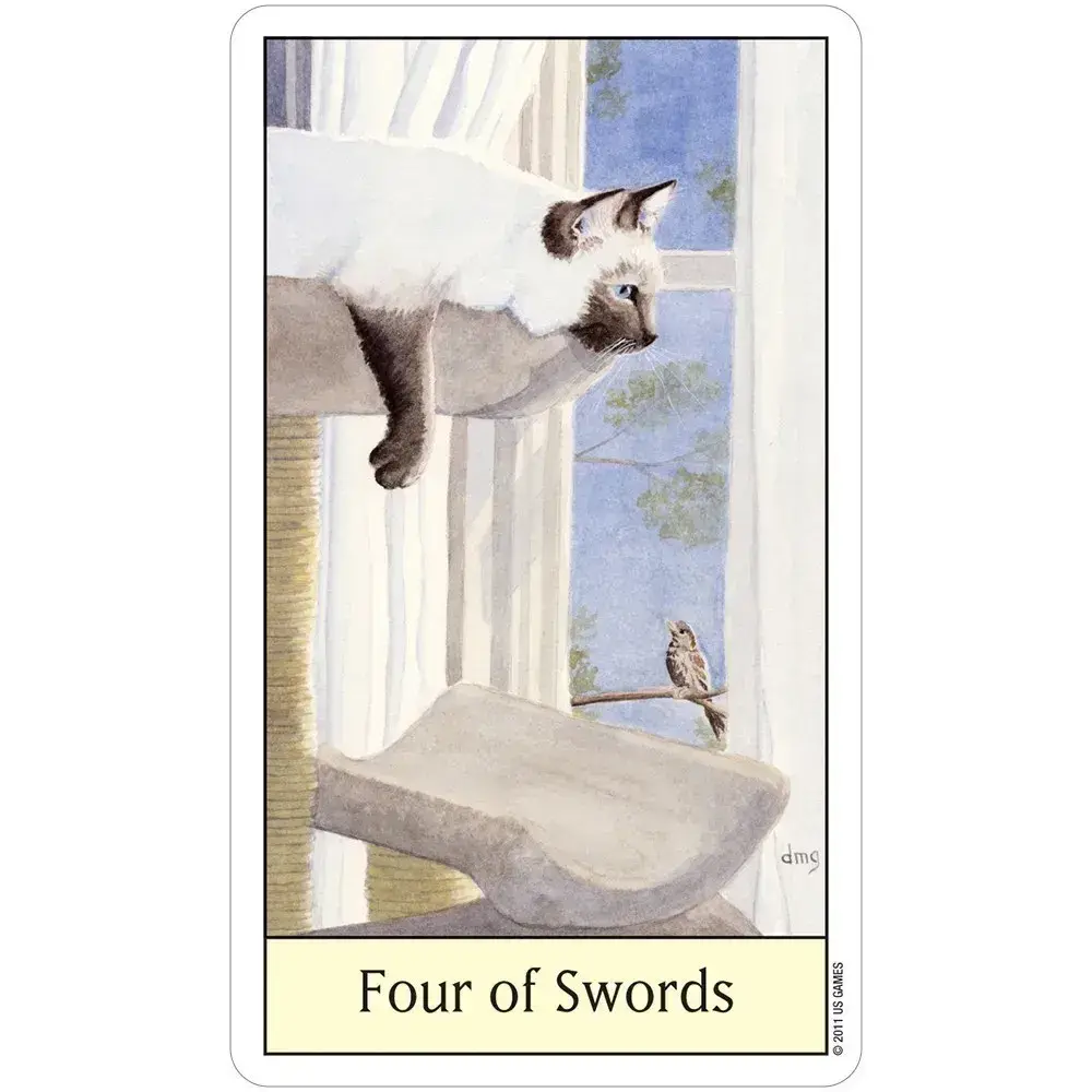 Cat's Eye Tarot Cards