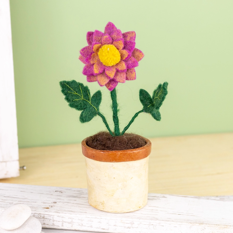 potted dahlia plant Dahlia Potted Felt Flower – Weeds