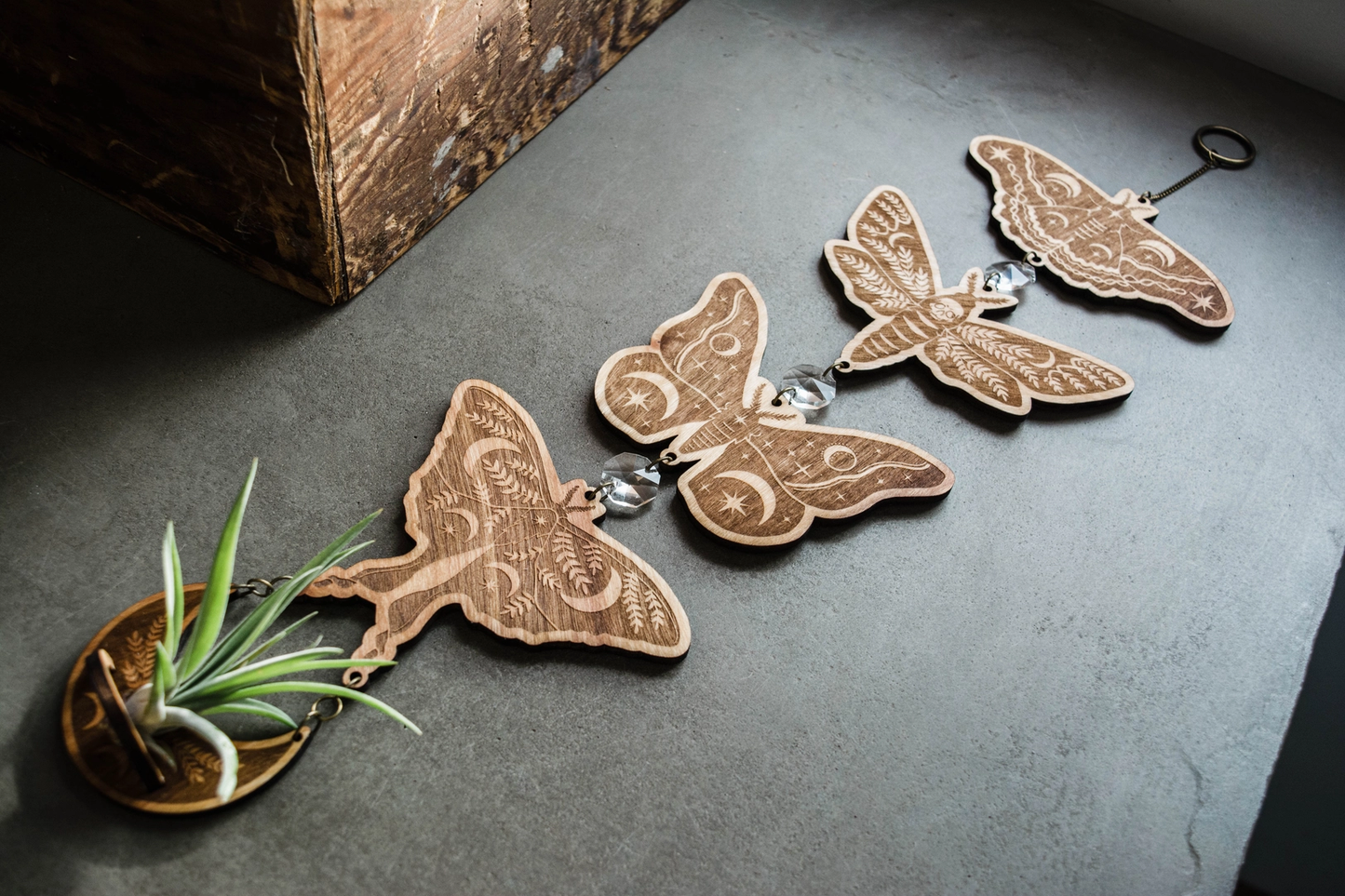 Four Moth Air Plant Holder Suncatcher