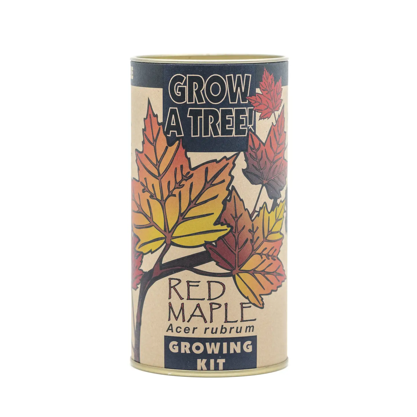 Red Maple Seed Grow Kit