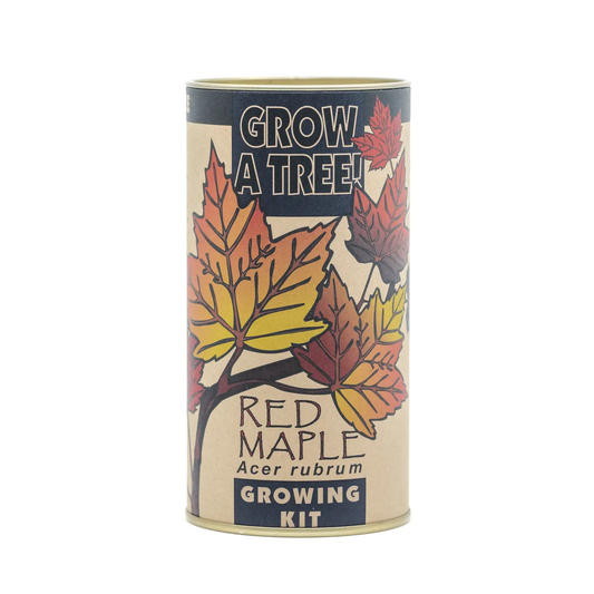 Red Maple Seed Grow Kit