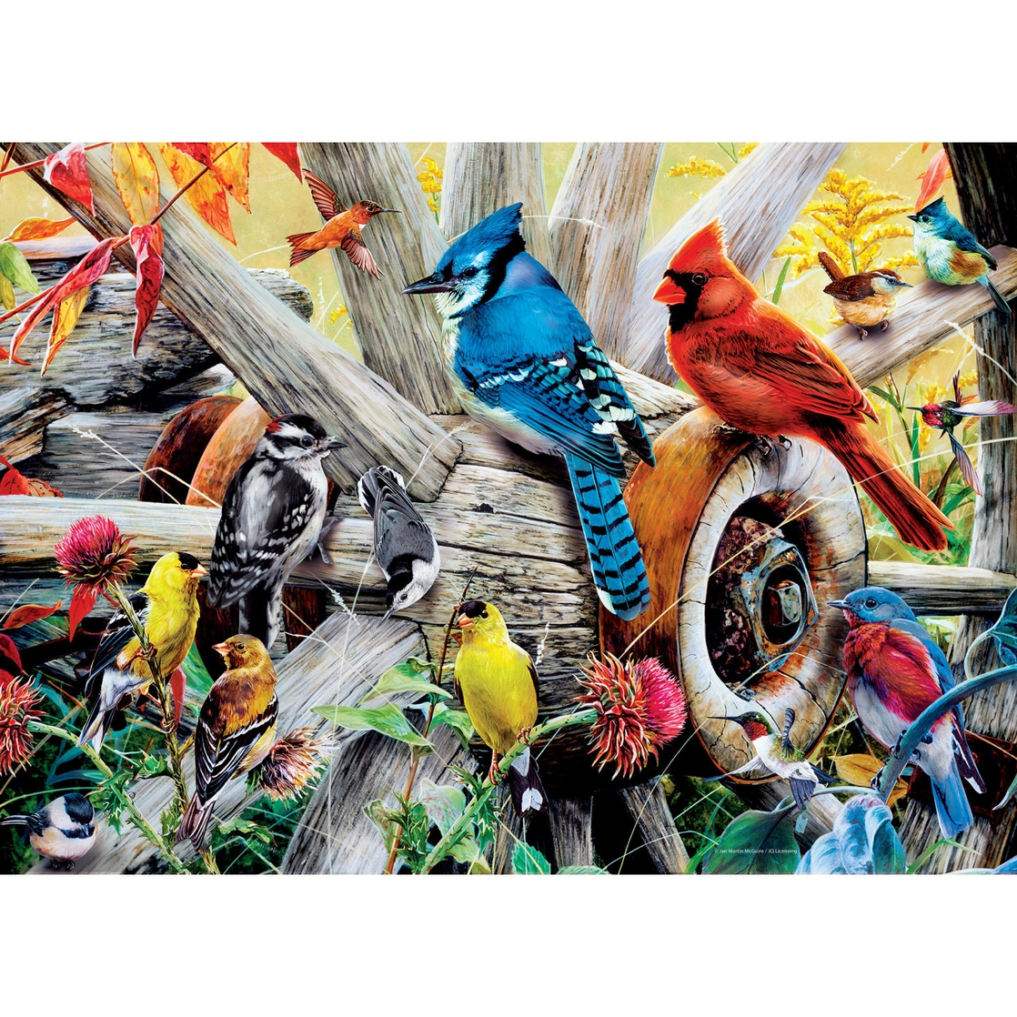 Audubon Backyard Birds Puzzle 1000pc