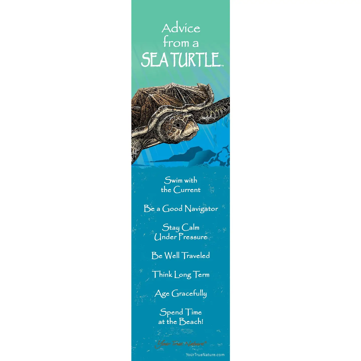 Bookmark Advice from a Sea Turtle