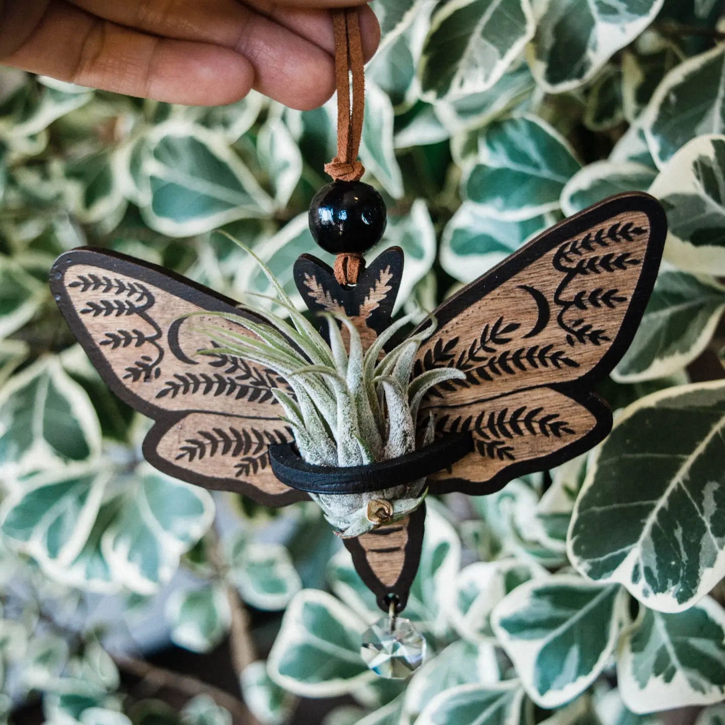 Death's Head Moth Air Plant Hanger Suncatcher