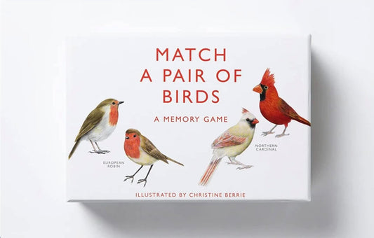 Match A Pair of Birds Game