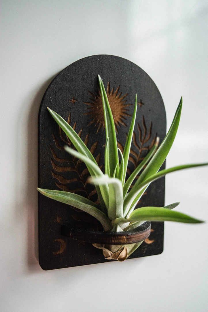 Sun + Ferns Airplant Wooden Magnet