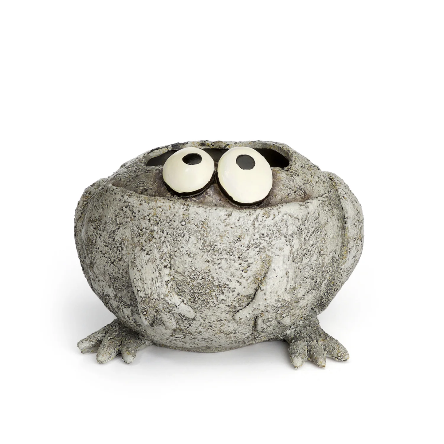 Baby Romeo Frog Planter