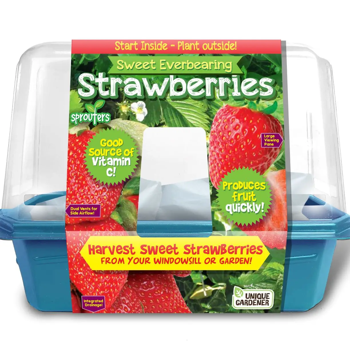 Sweet Everbearing Strawberries Sprouter Terrarium