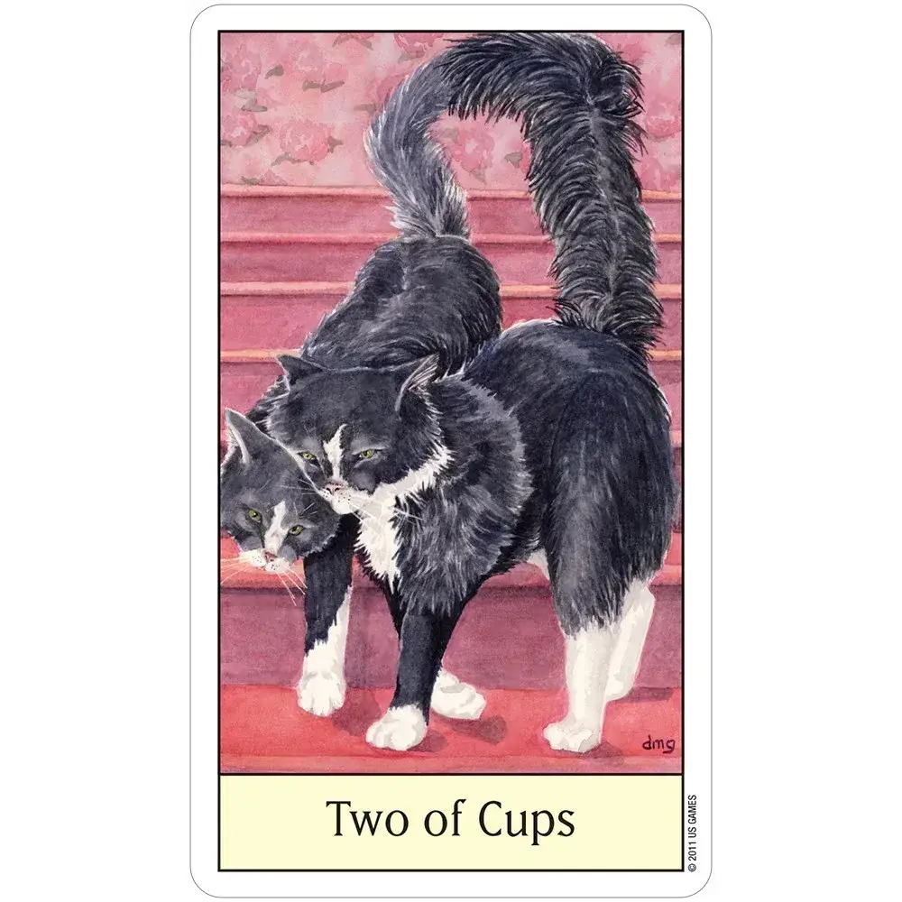 Cat's Eye Tarot Cards