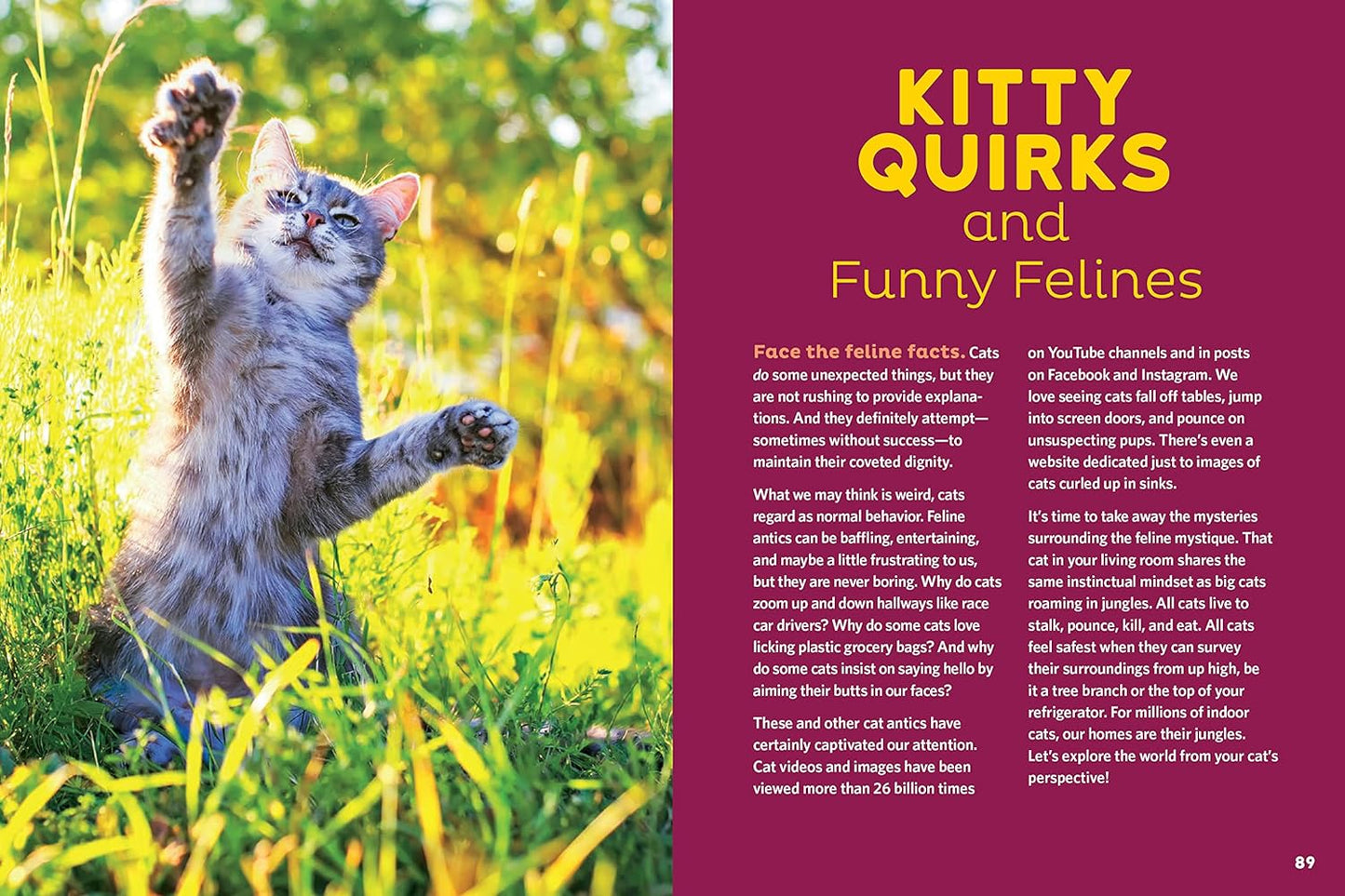 Cat Behavior Answer Book