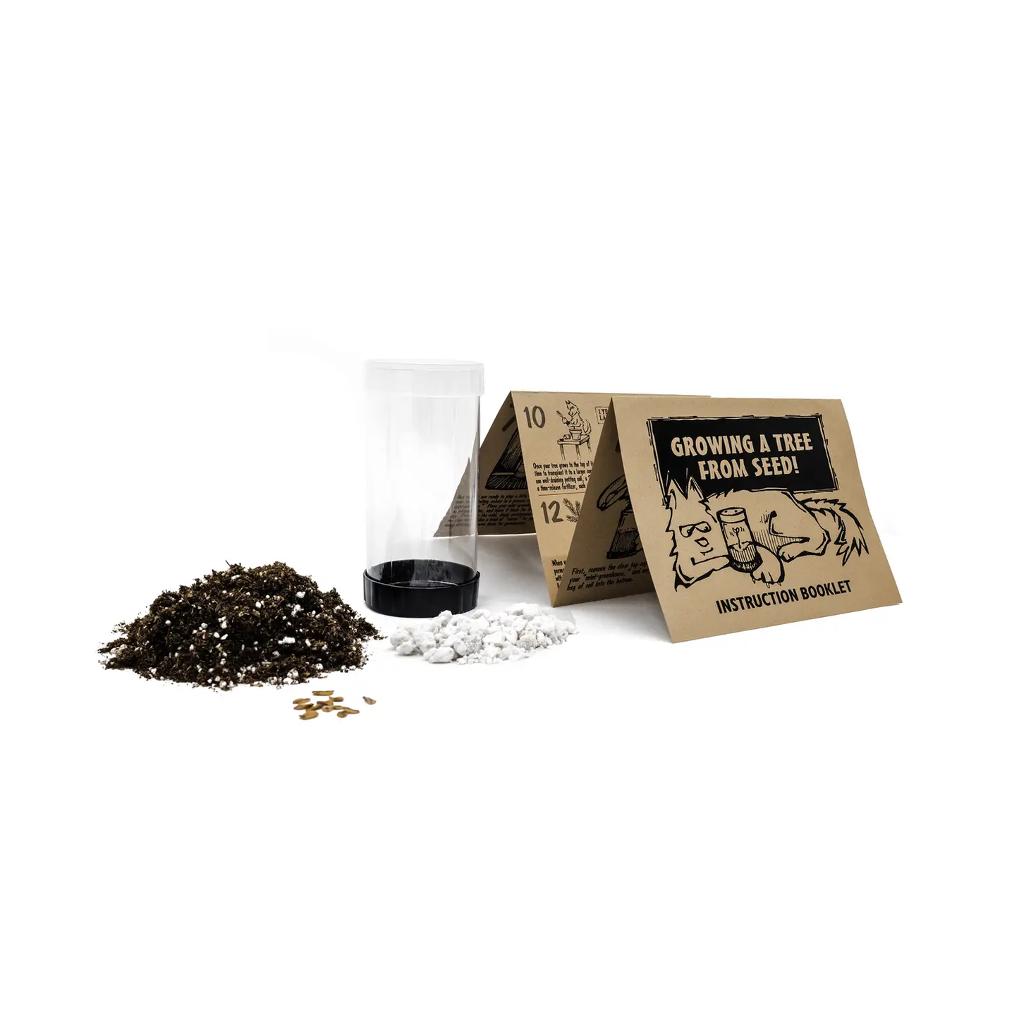 Ponderosa Pine Seed Grow Kit