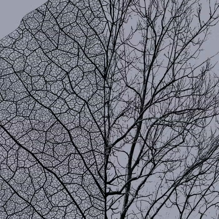 Leaf & Tree T-Shirt