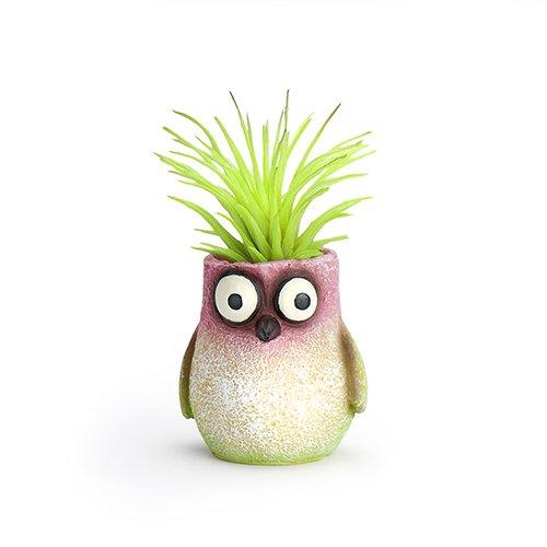 hummingbird plant pot Baby Hummingbird Mini Planter – Weeds