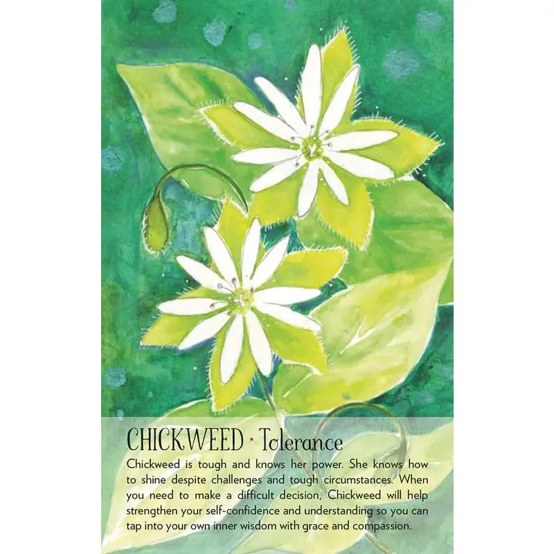 Soulflower Plant Spirit Oracle Cards
