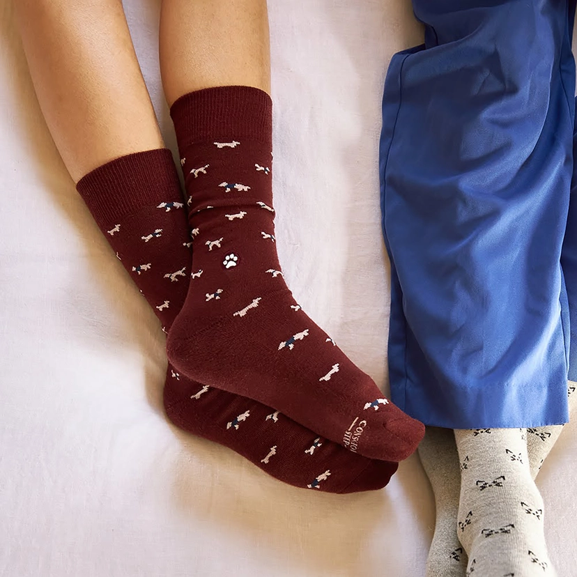 Socks That Save Dogs