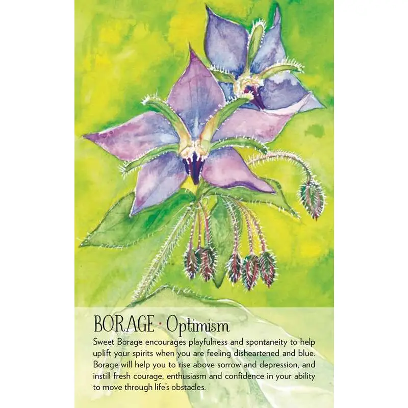 Soulflower Plant Spirit Oracle Cards