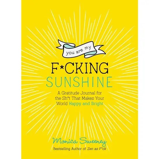 You Are My F*cking Sunshine Book