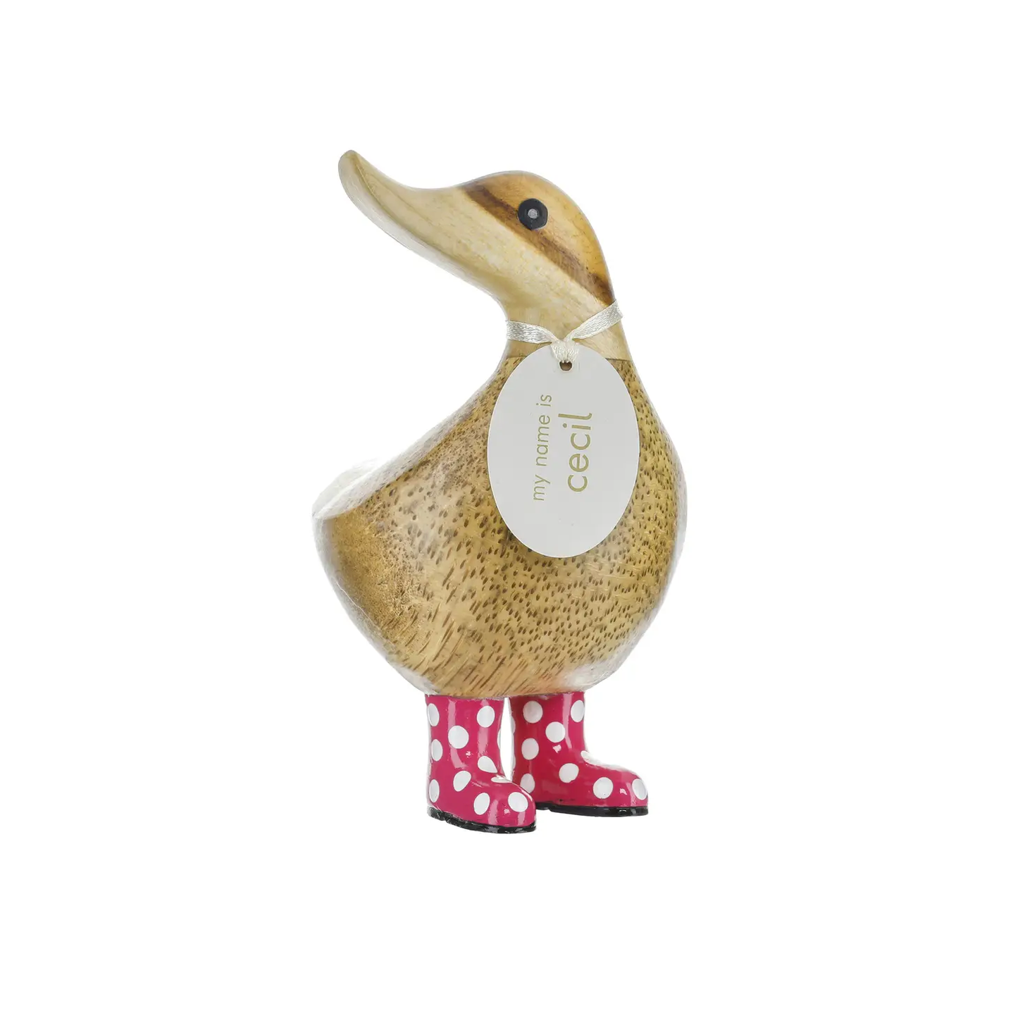 Ducky with Spotty Boots