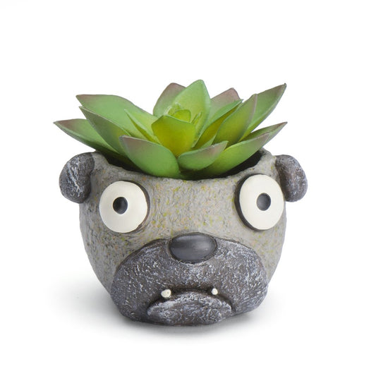 Baby Elliott Mini Planter