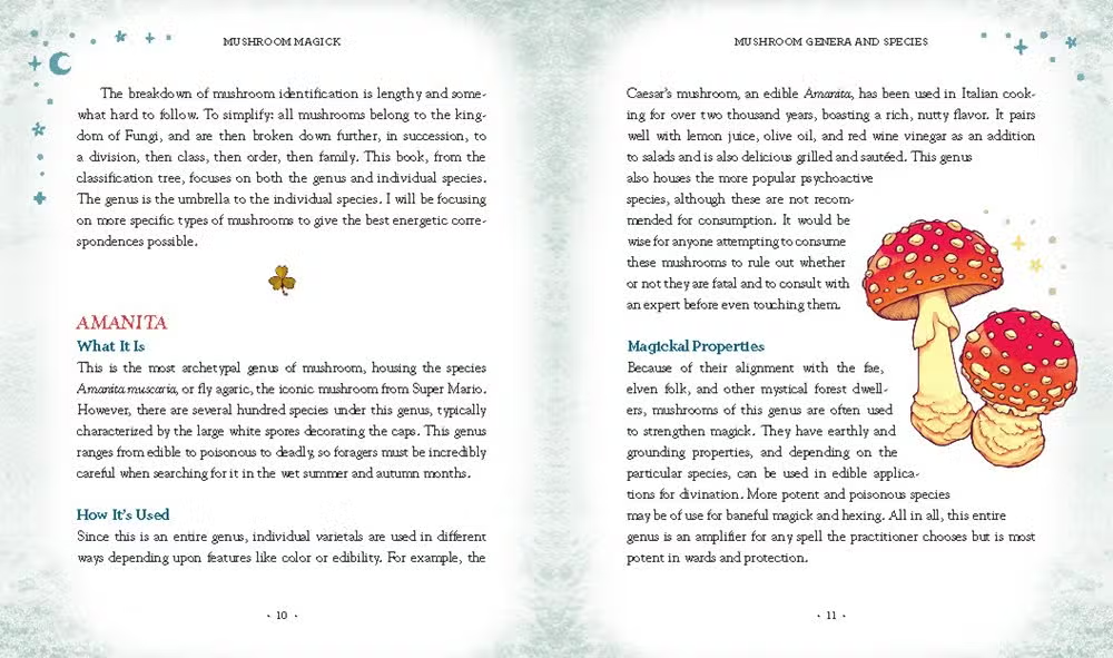 Mushroom Magick Lore Book