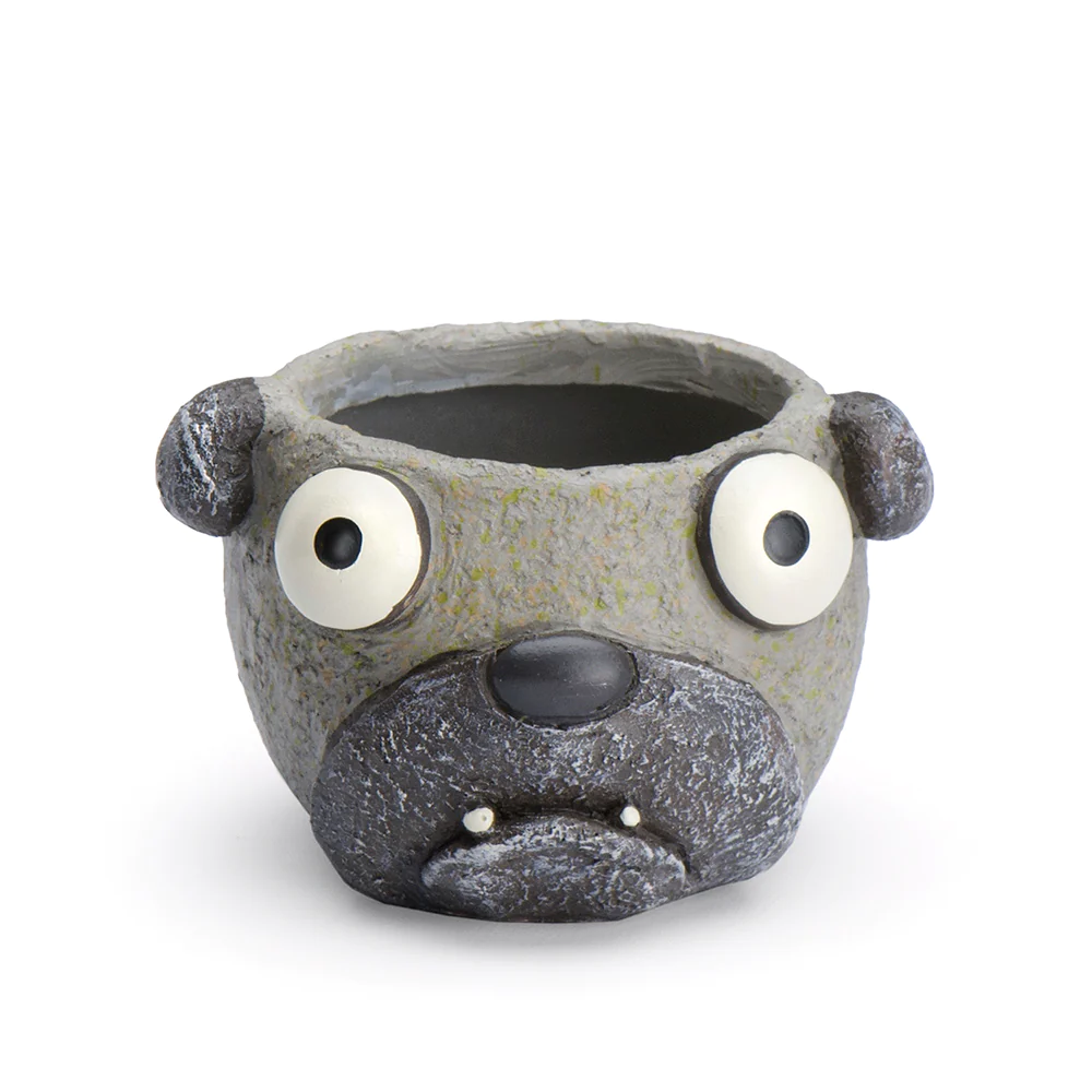 Baby Elliott Mini Planter