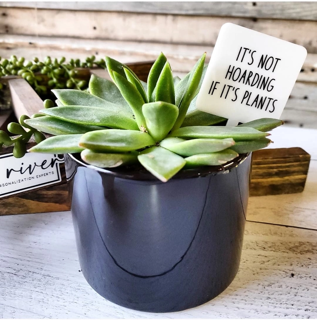 Plant Marker - It's Not Hoarding