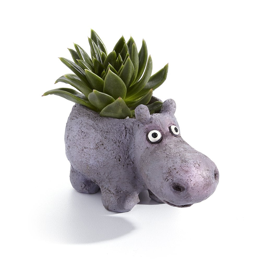hippo succulent planter Hazel House Hippo Planter