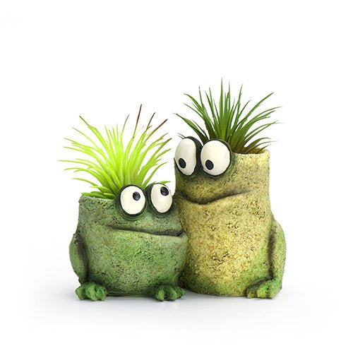 frog pot plant Baby Frog Pals Mini Planter – Weeds