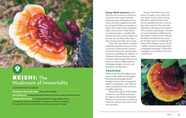 How to Forage for Mushrooms Without Dying Book